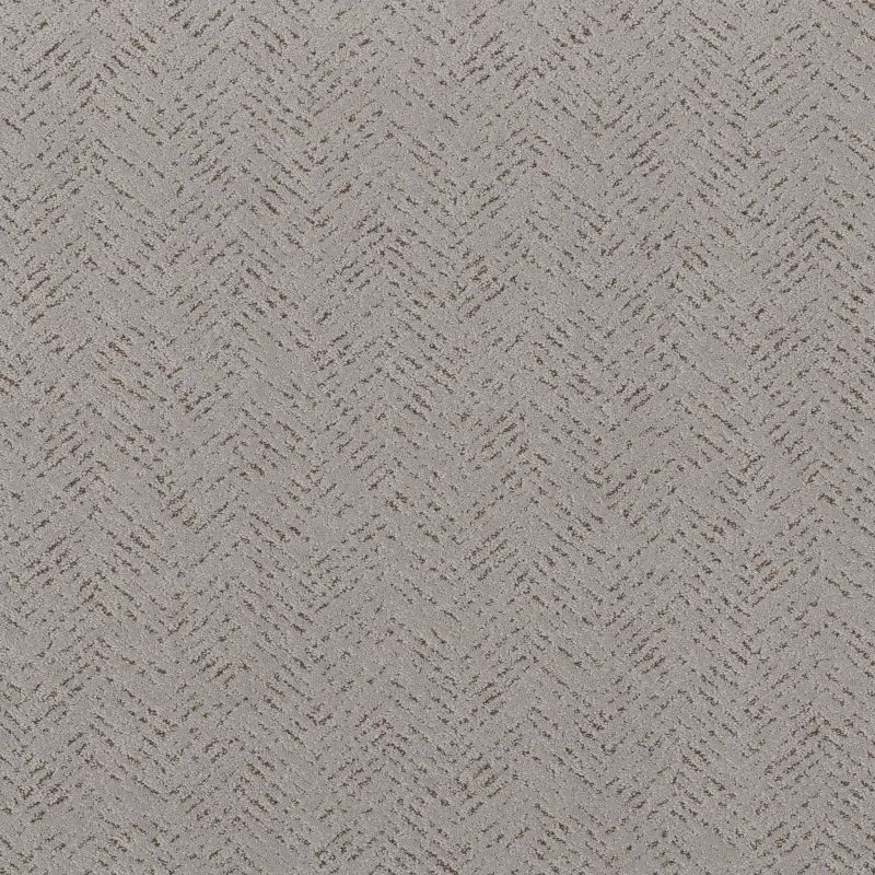 Shaw Floors Roll Special Xy363 Gravity
