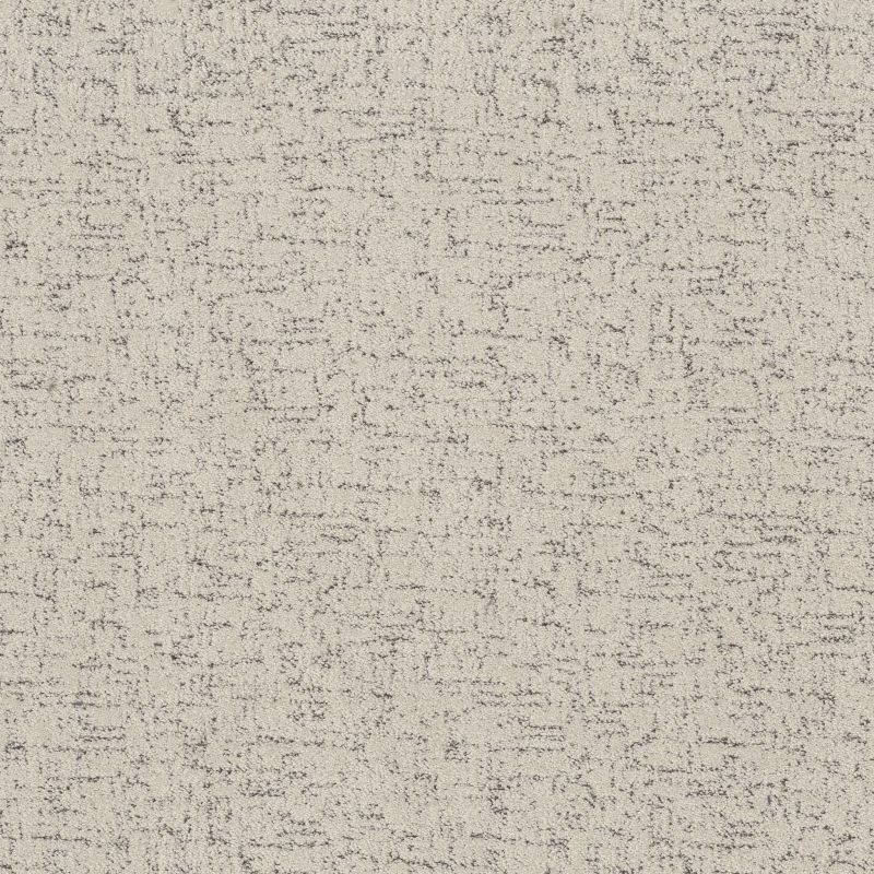 Shaw Floors Roll Special Xy365 Marble