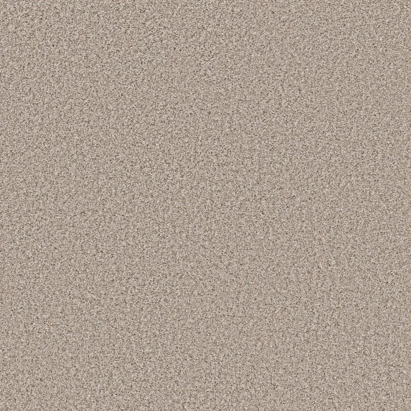 Shaw Floors Roll Special Xy443 Beige Mist
