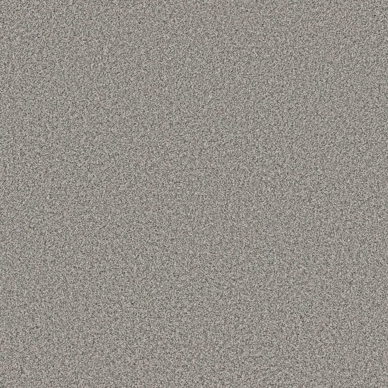 Shaw Floors Roll Special Xy443 Fossil