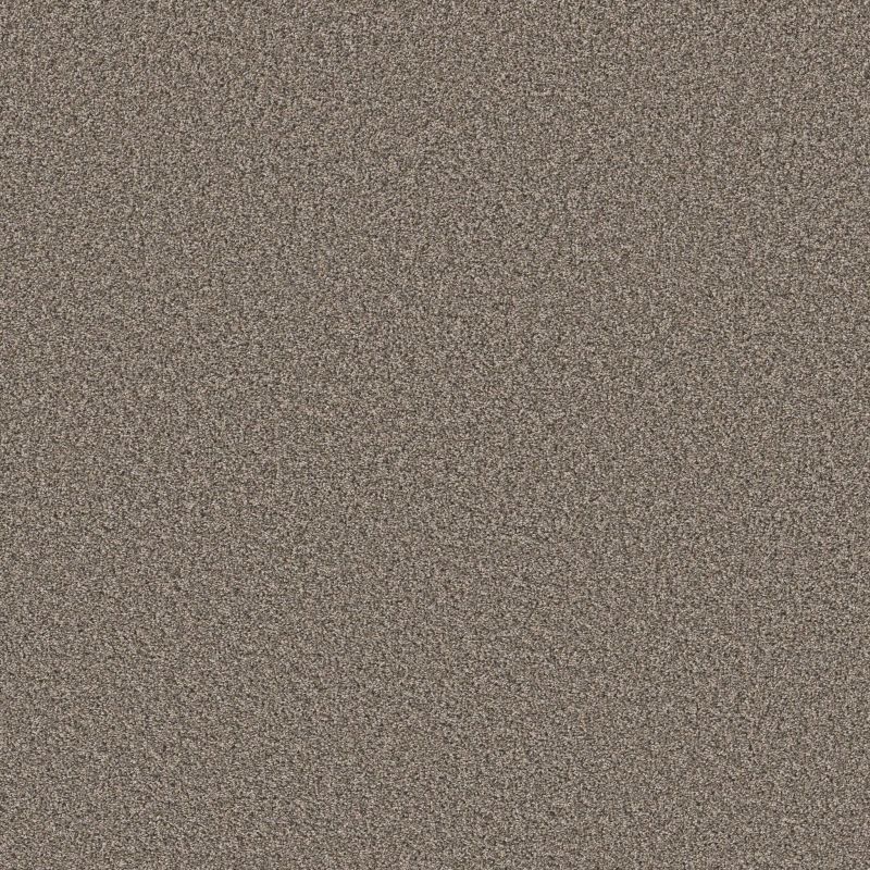Shaw Floors Roll Special Xy443 Driftwood