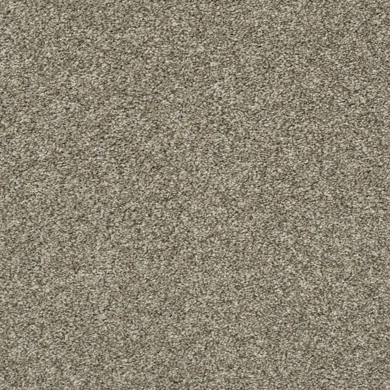 Shaw Floors Value Collections Xz011 Net Clay
