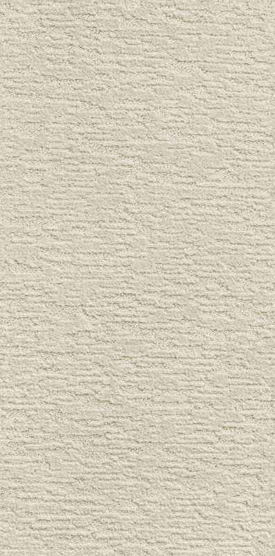 Shaw Floors Value Collections Xz012 Net Latte