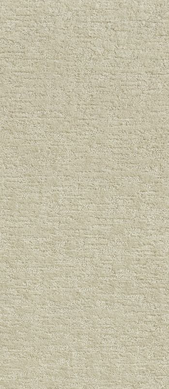 Shaw Floors Value Collections Xz012 Net Almond