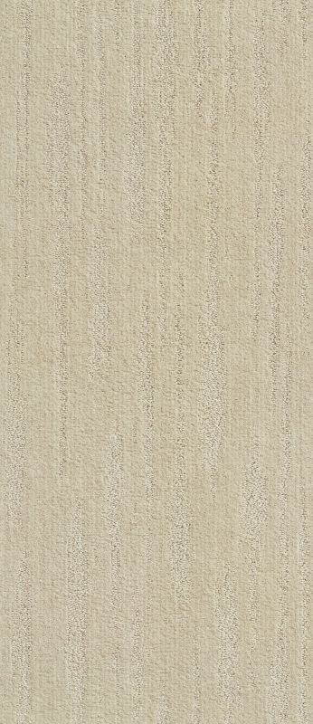 Shaw Floors Value Collections Xz013 Net Almond