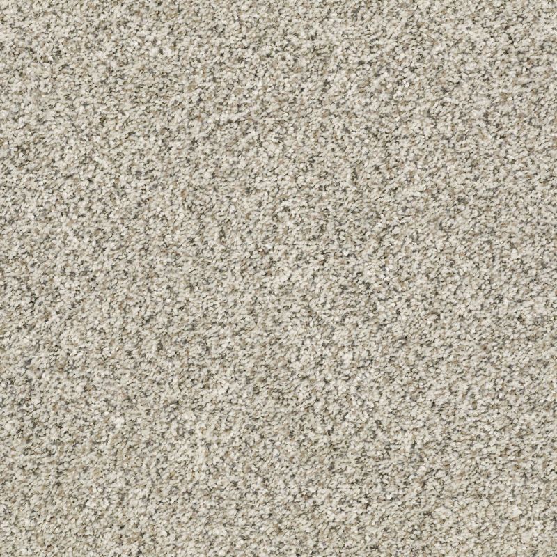 Shaw Floors Value Collections Xz014 Net Atlantic Sand