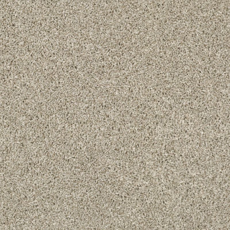 Shaw Floors Value Collections Xz019 Net Magnolia Bloom