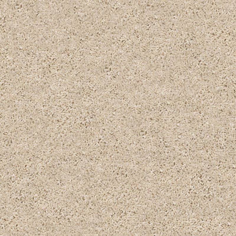 Shaw Floors Value Collections Xz020 Net Sea Floor