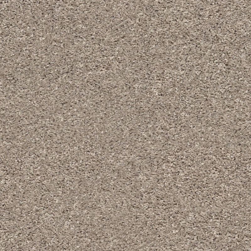 Shaw Floors Value Collections Xz020 Net Forever Pewter