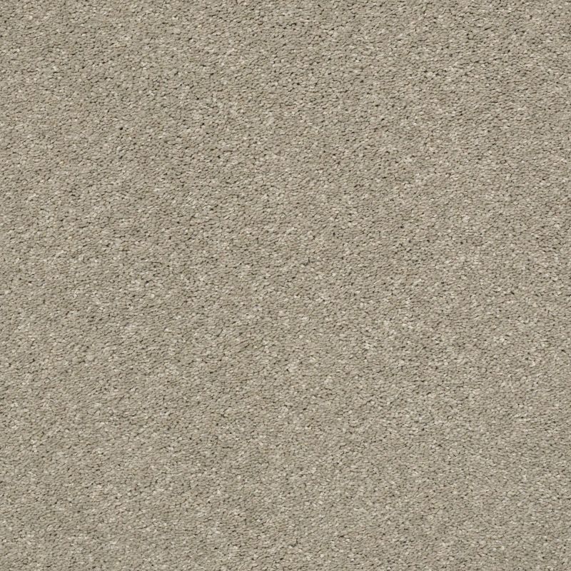 Shaw Floors Roll Special Xz047 Sandstone