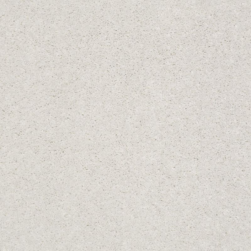Shaw Floors Roll Special Xz048 Sugar Cookie