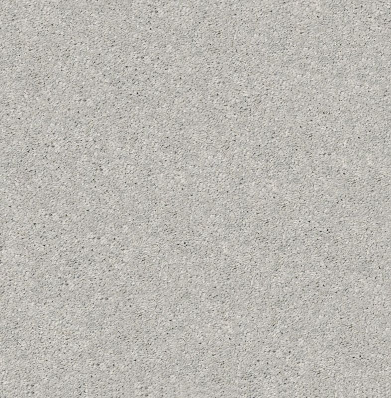 Shaw Floors Roll Special Xz048 Shadow