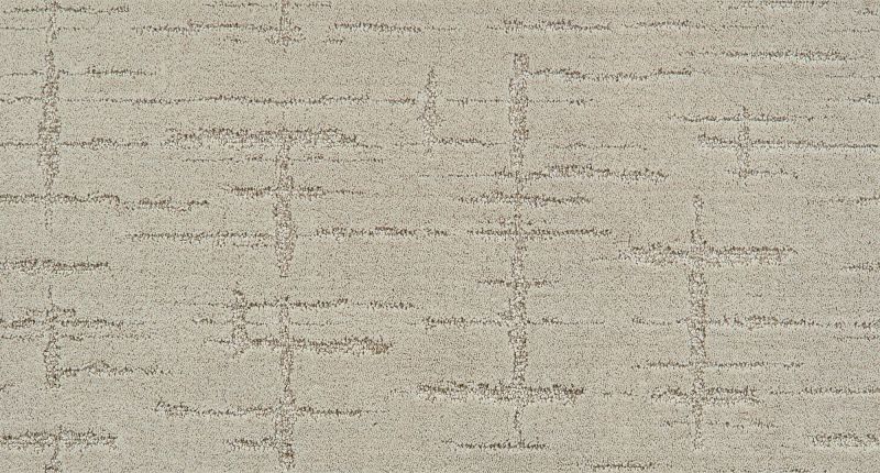 Shaw Floors Roll Special Xz049 Soft Spoken