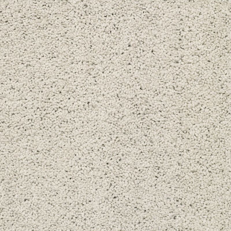 Shaw Floors Roll Special Xz057 Mist