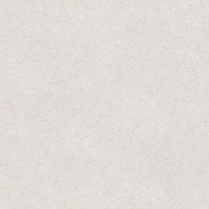 Shaw Floors Roll Special Xz071 Dove
