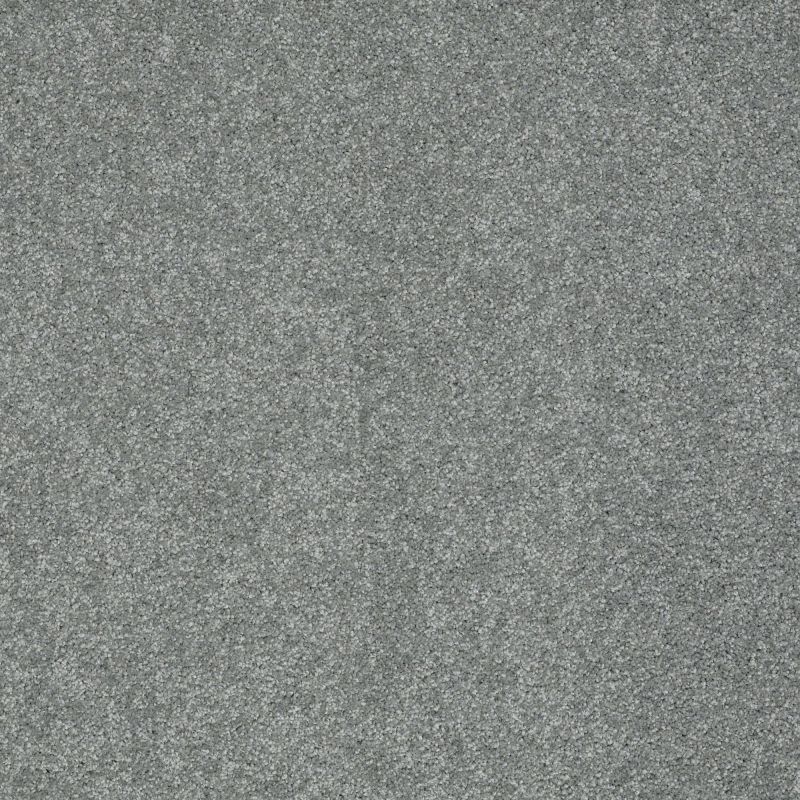 Shaw Floors Roll Special Xz071 Reflection