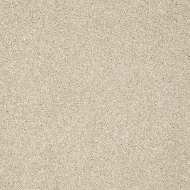 Shaw Floors Roll Special Xz071 Suitable