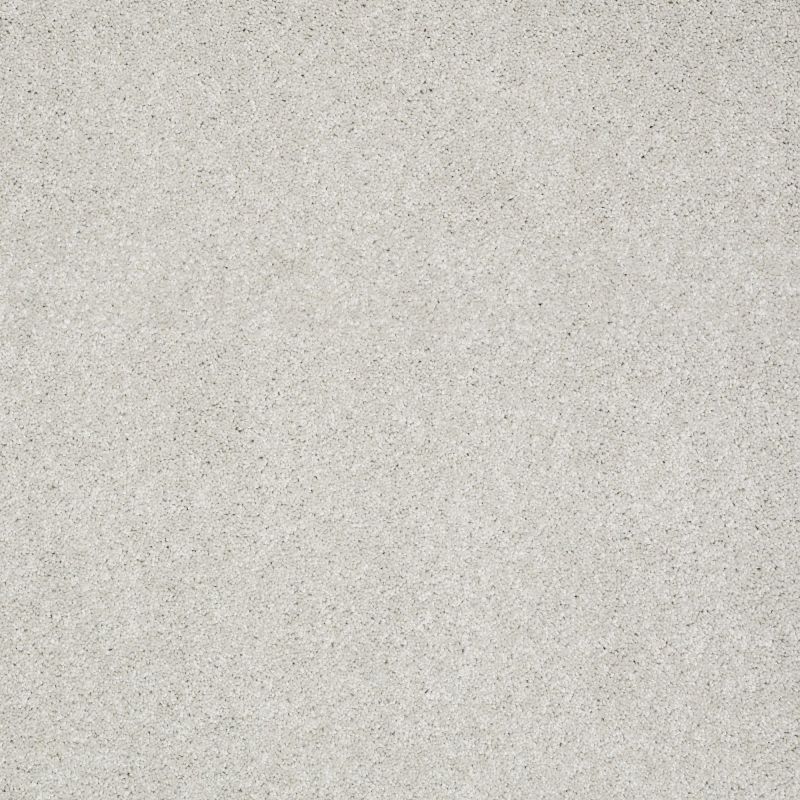 Shaw Floors Roll Special Xz072 Pebble Path