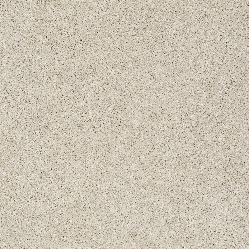 Shaw Floors Roll Special Xz074 Neutral Ground
