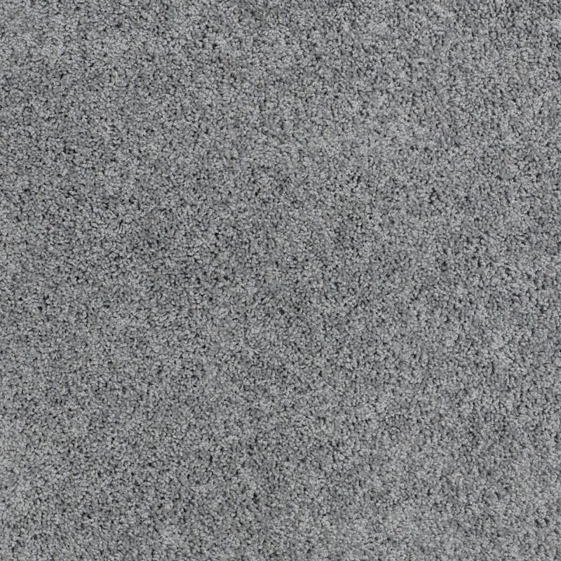 Shaw Floors Roll Special Xz074 Reflection