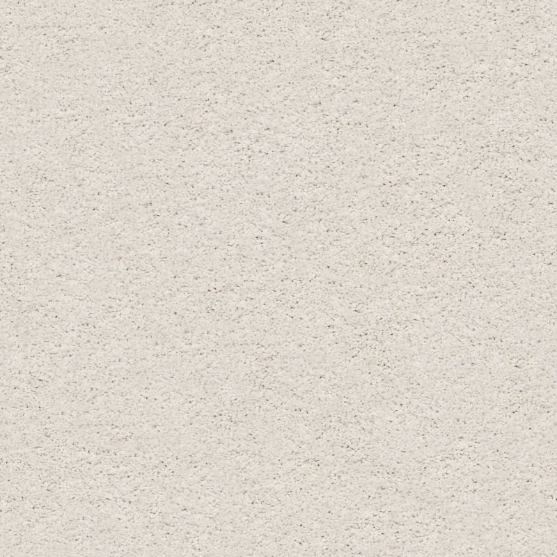 Shaw Floors Roll Special Xz075 Modern Loft