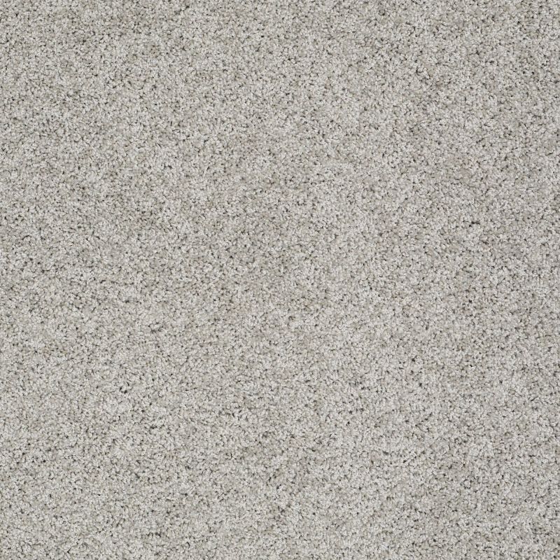 Shaw Floors Roll Special Xz075 Anchor