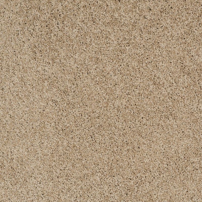 Shaw Floors Roll Special Xz075 Hazelnut