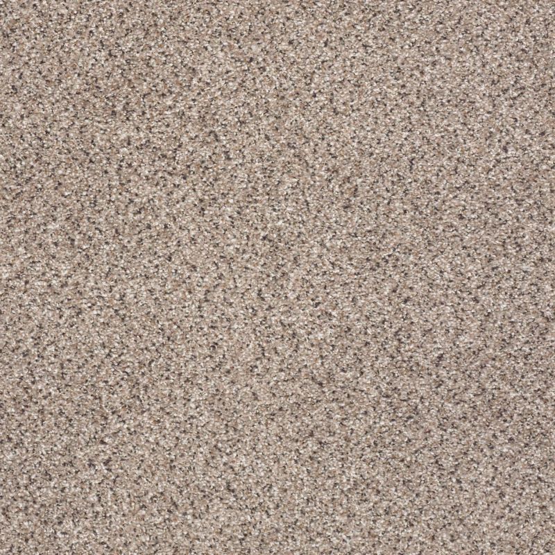 Shaw Floors Roll Special Xz080 Everest