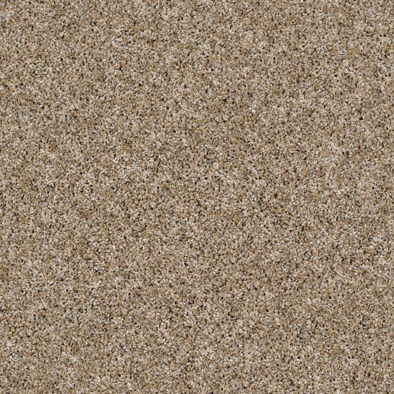 Shaw Floors Roll Special Xz107 Camel