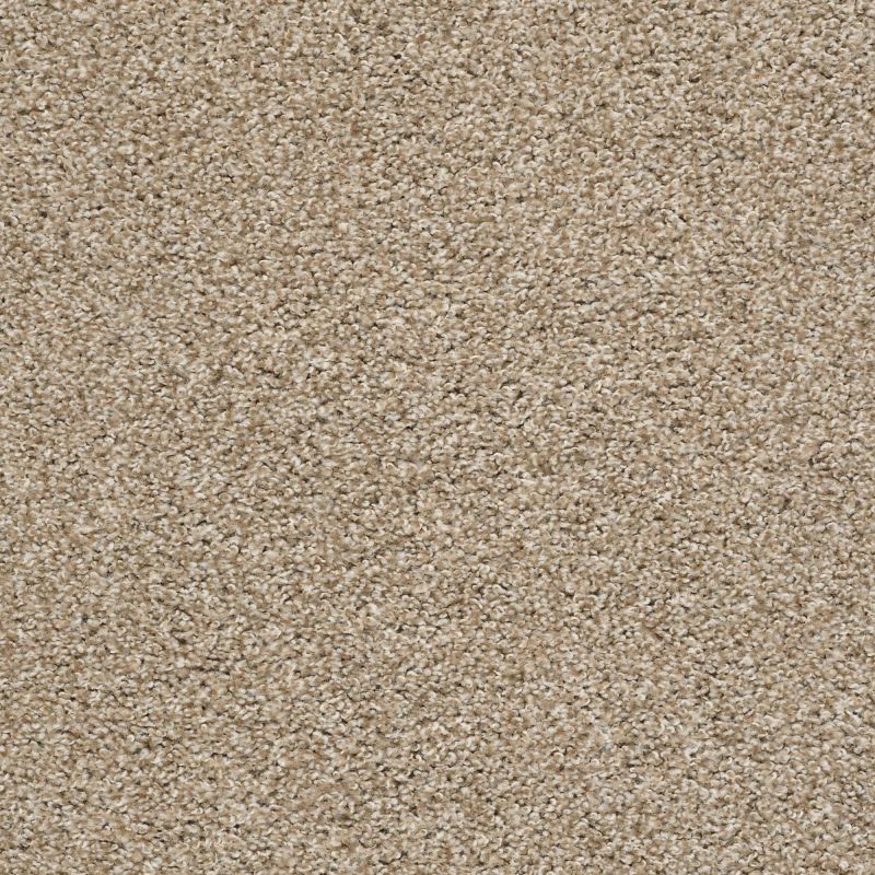 Shaw Floors Roll Special Xz114 Artisan