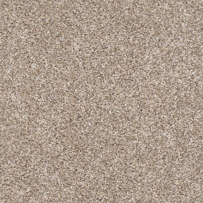 Shaw Floors Value Collections Xz141 Net Neutral Ground