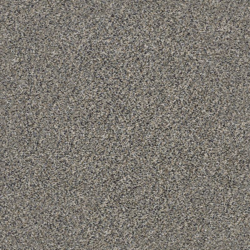 Shaw Floors Value Collections Xz145 Net Fleeting Fawn