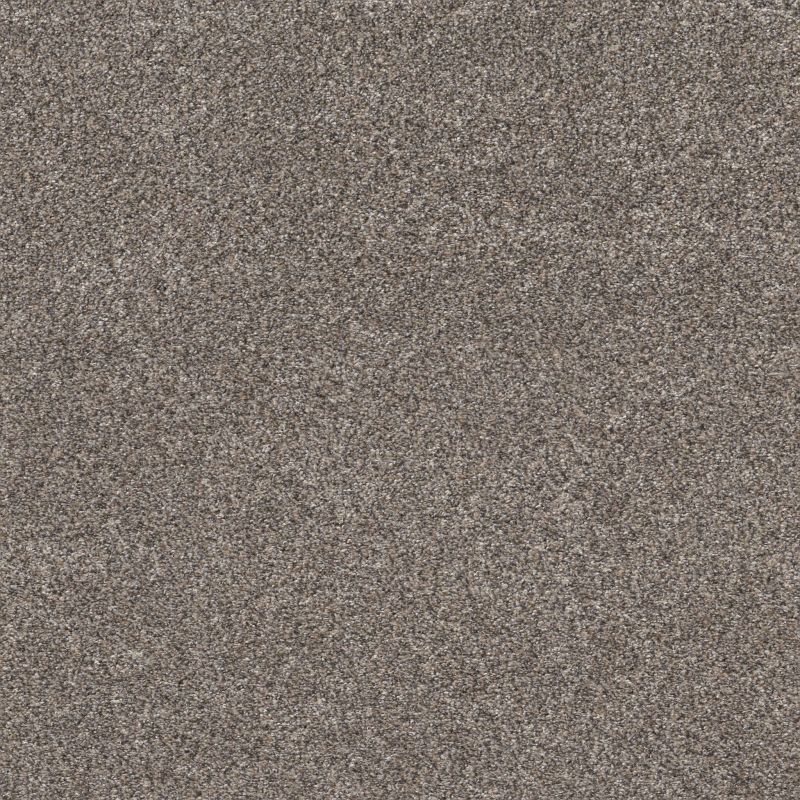 Shaw Floors Value Collections Xz147 Net Fleeting Fawn