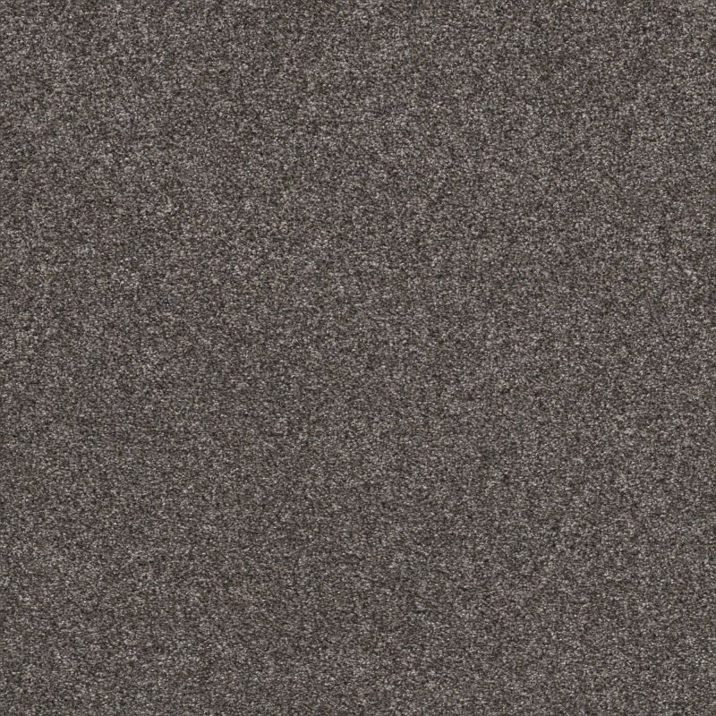 Shaw Floors Value Collections Xz147 Net Buckthorn