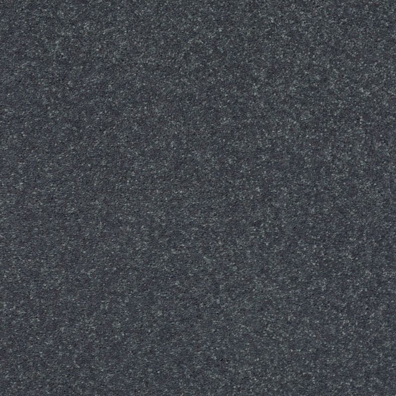 Shaw Floors Value Collections Xz151 Net Iron