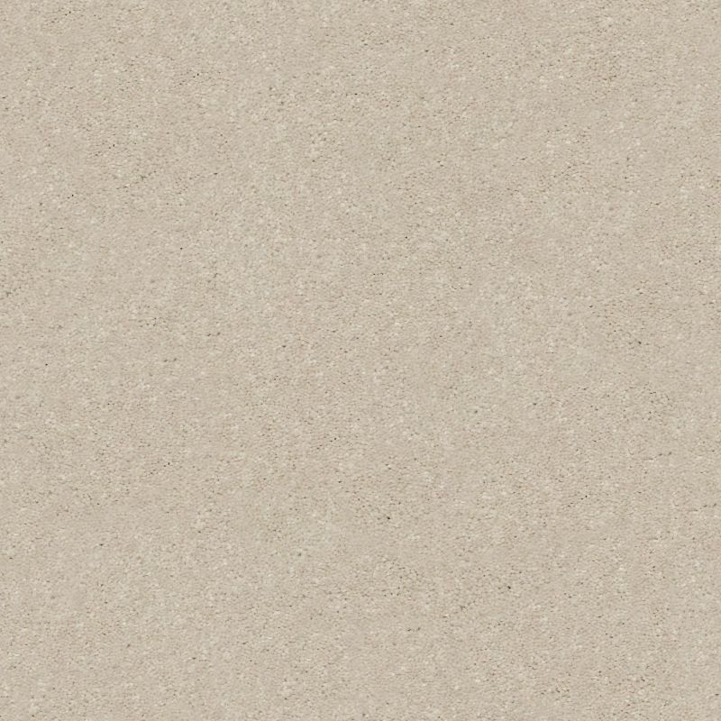 Shaw Floors Value Collections Xz159 Net Bleached