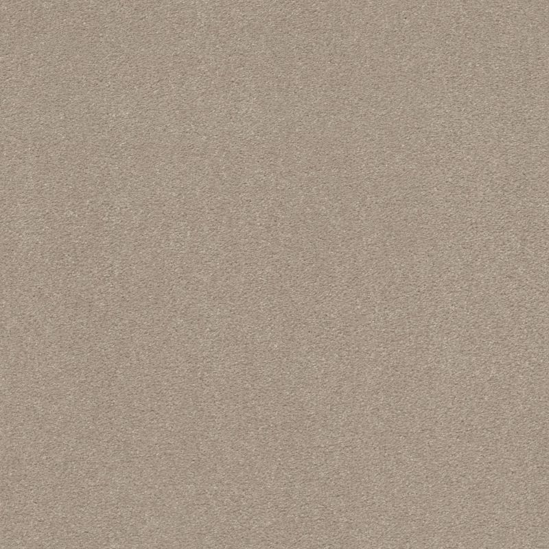 Shaw Floors Value Collections Xz159 Net Dreamy