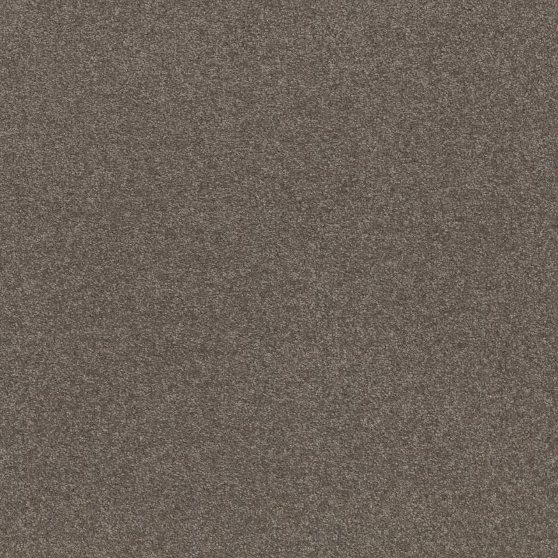 Shaw Floors Value Collections Xz159 Net Pewter