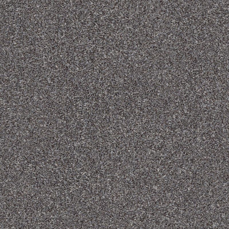 Shaw Floors Value Collections Xz165 Net Mocha