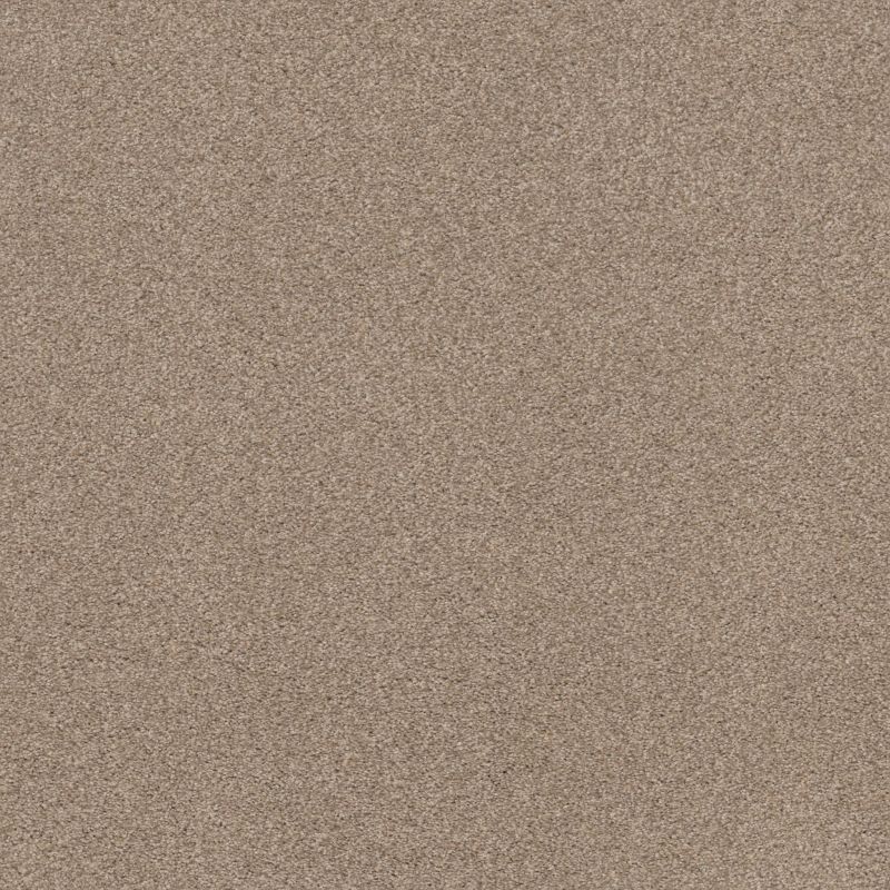 Shaw Floors Xz175 Natural Beauty