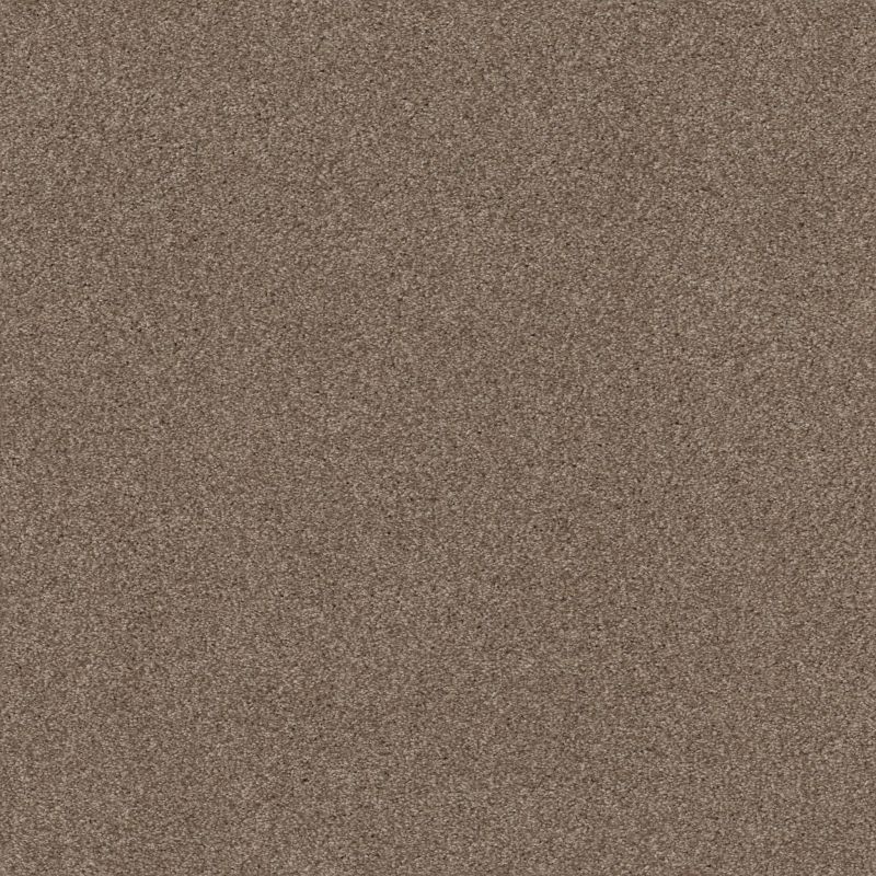 Shaw Floors Xz175 Tumbleweed