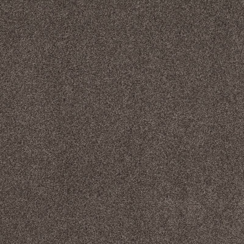 Shaw Floors Xz175 Burma Brown