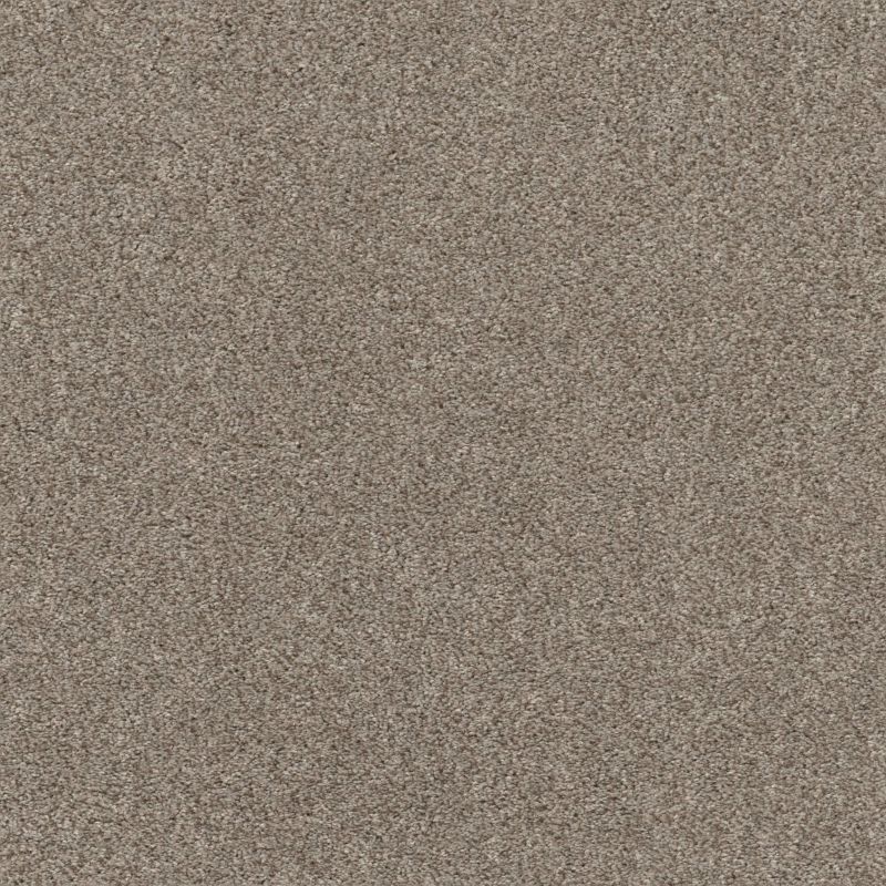 Shaw Floors Xz191 Desert View