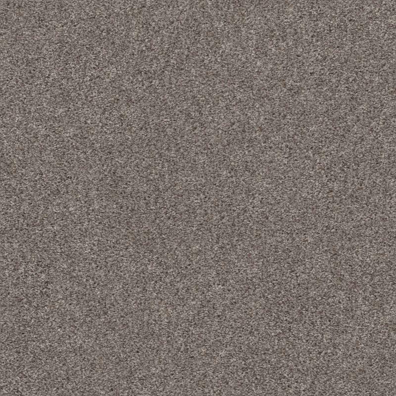 Shaw Floors Xz191 Dark Maple