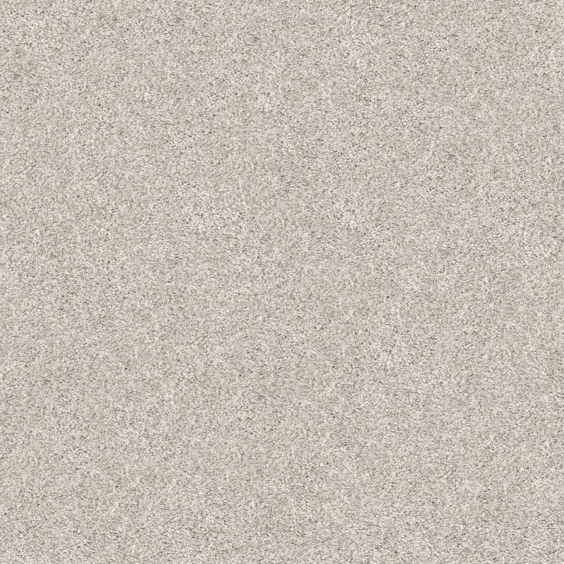 Shaw Floors Pet Perfect Plus Xz192 Serene Still