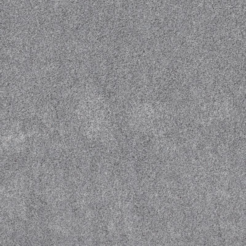 Shaw Floors Pet Perfect Plus Xz192 Silver Lining