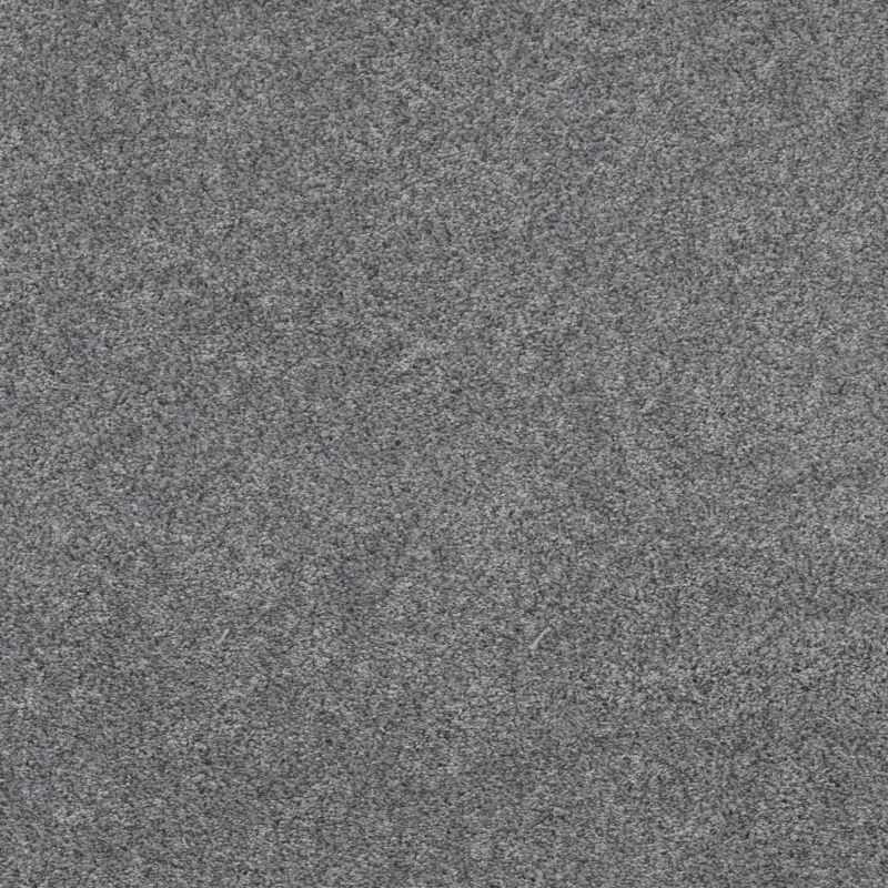 Shaw Floors Pet Perfect Plus Xz192 Stormy Breeze