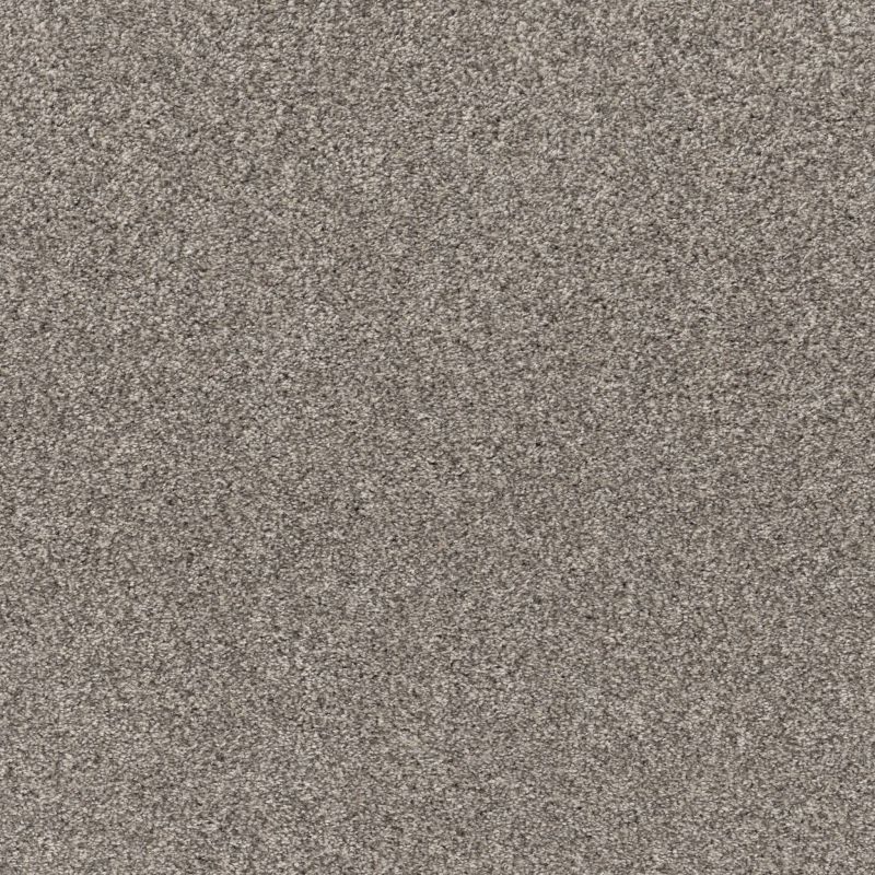 Shaw Floors Pet Perfect Plus Xz194 Kidskin
