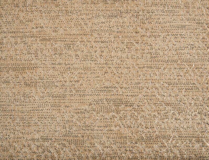 Shop Stanton Compono Desert CPONO-21833-13-2-WV Carpet