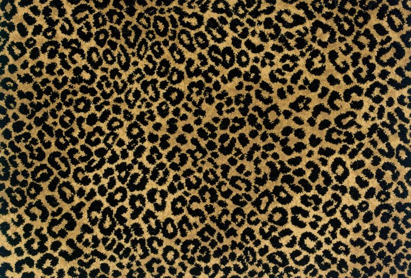 Stanton Tranquil Evening Gold Black TRQUE-86715-13-2-WV